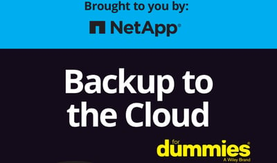 Netapp_Dummies-Backup